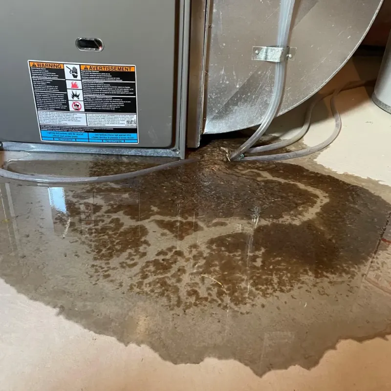 Appliance Leak Cleanup in Mililani Town, HI
