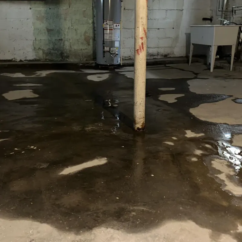 Emergency Water Extraction And Removal in Mililani Town, HI